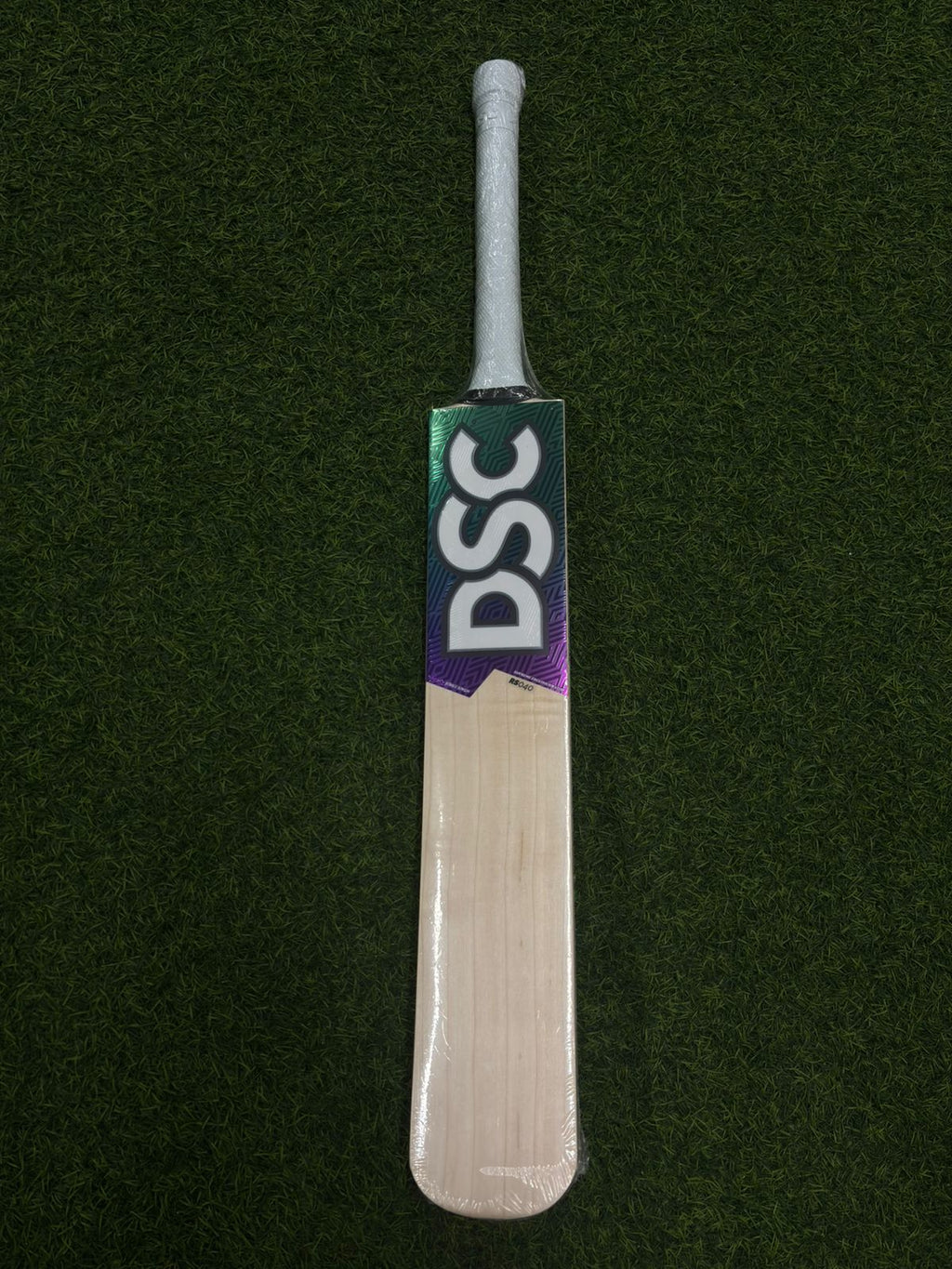 DSC RS040 SH EW