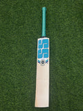 SS DYNASTY EW SH CRICKET BAT