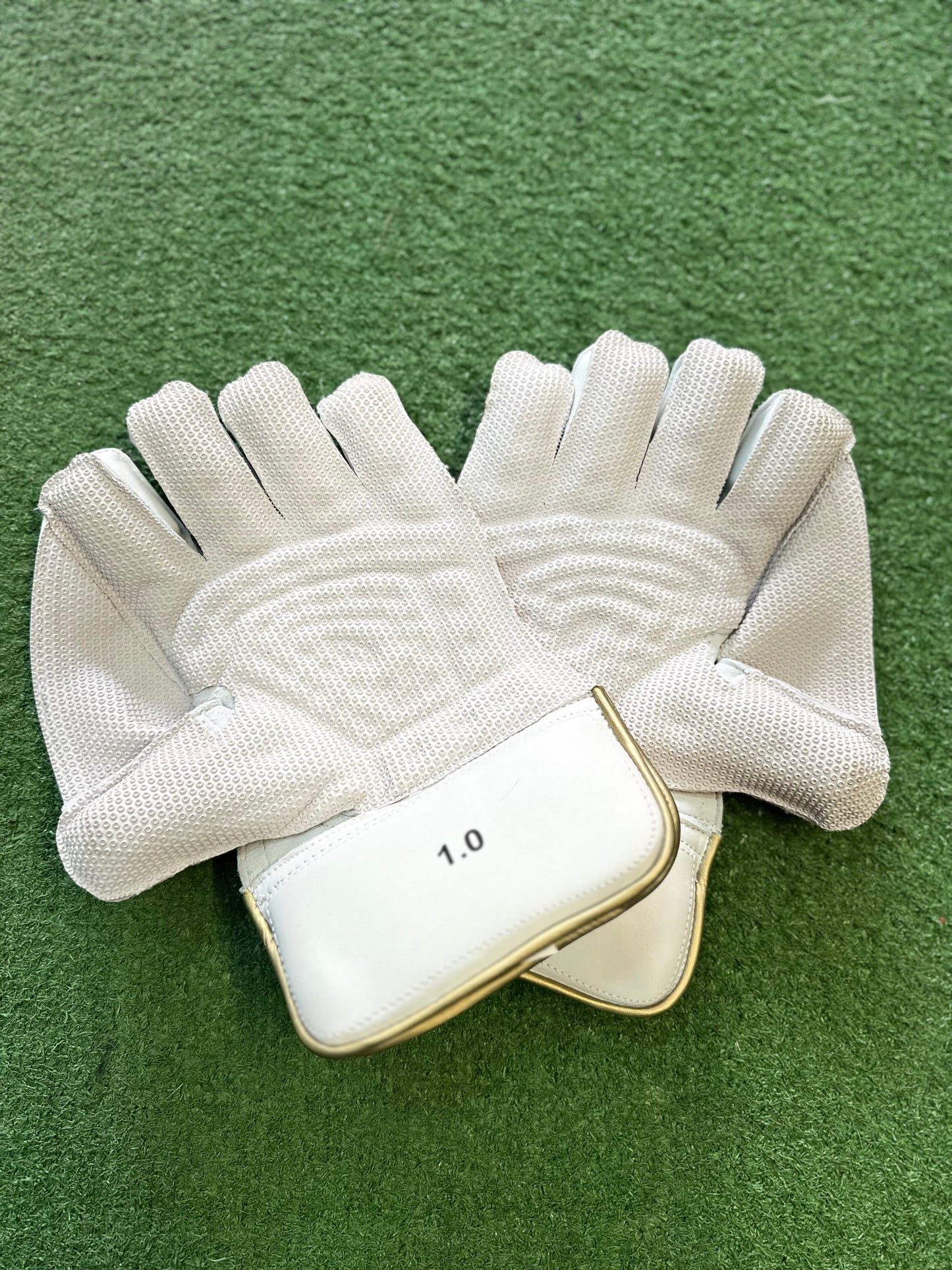 TON PRO 1.0 Keeping Gloves (Adults)