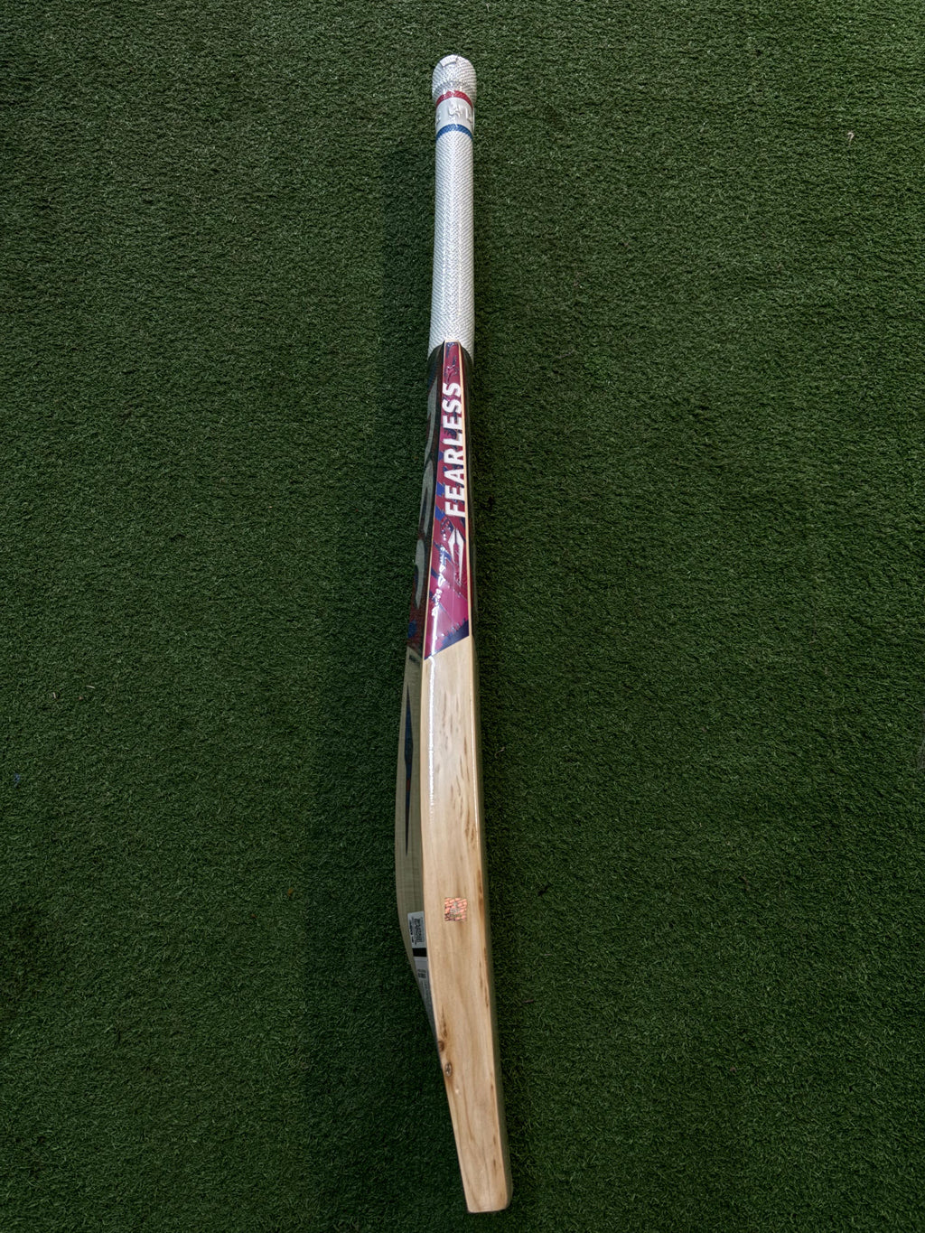 DSC INTENSE FEROCITY EW SH CRICKET BAT