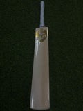 SG SUNNY GOLD (2026) SH