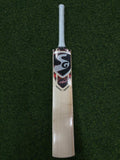 SG Sunny Tonny (HARROW)