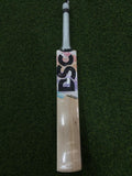 DSC CONDOR TORRENT SIZE 4