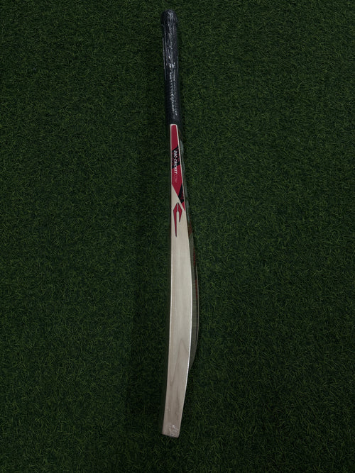 DSC INTENSE FEROCITY EW SH CRICKET BAT
