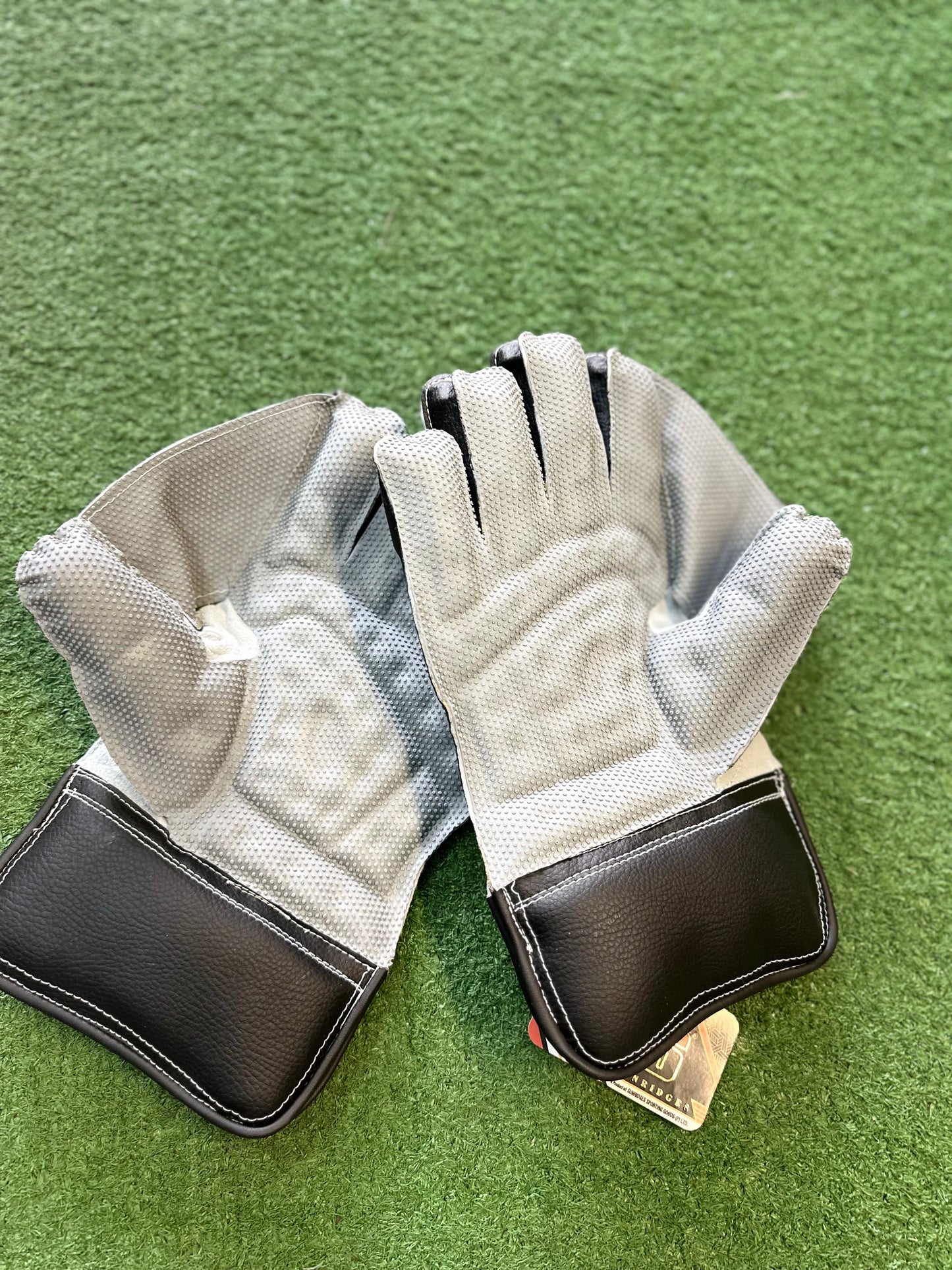 SS Academy Wicket Keeping Gloves(Adults)