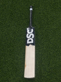 DSC BLAK 222 EW SH CRICKET BAT
