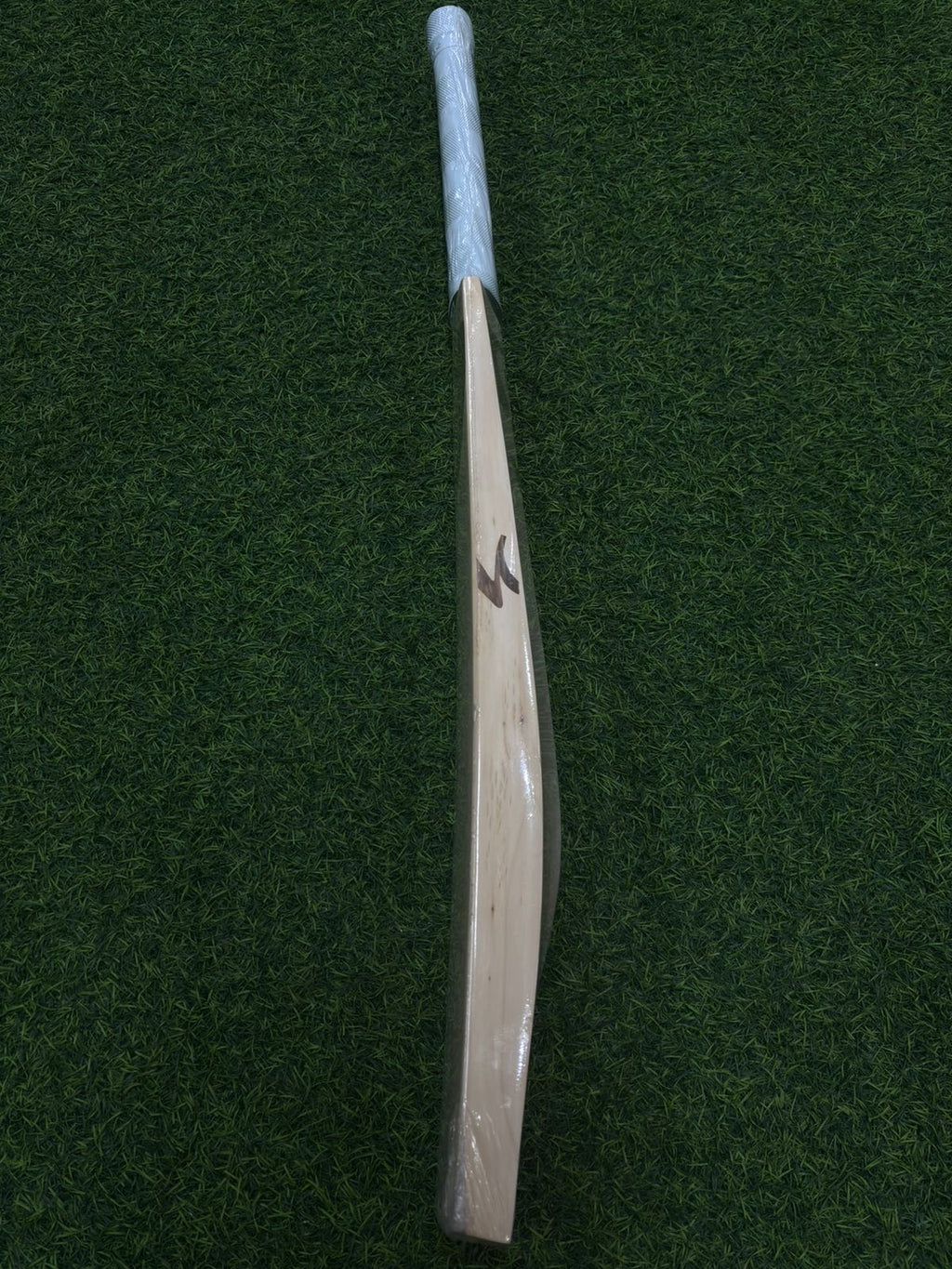 SG SUNNY GOLD (2026) SH