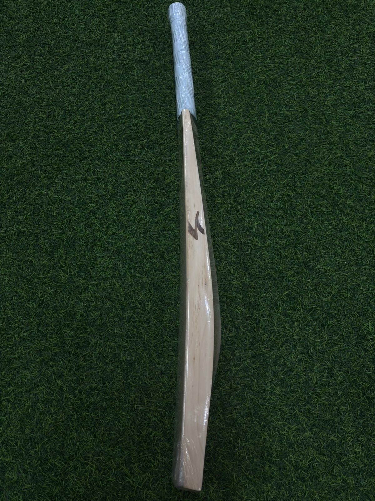 SG SUNNY GOLD (2026) SH