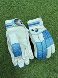 SG Litevate youth RH
